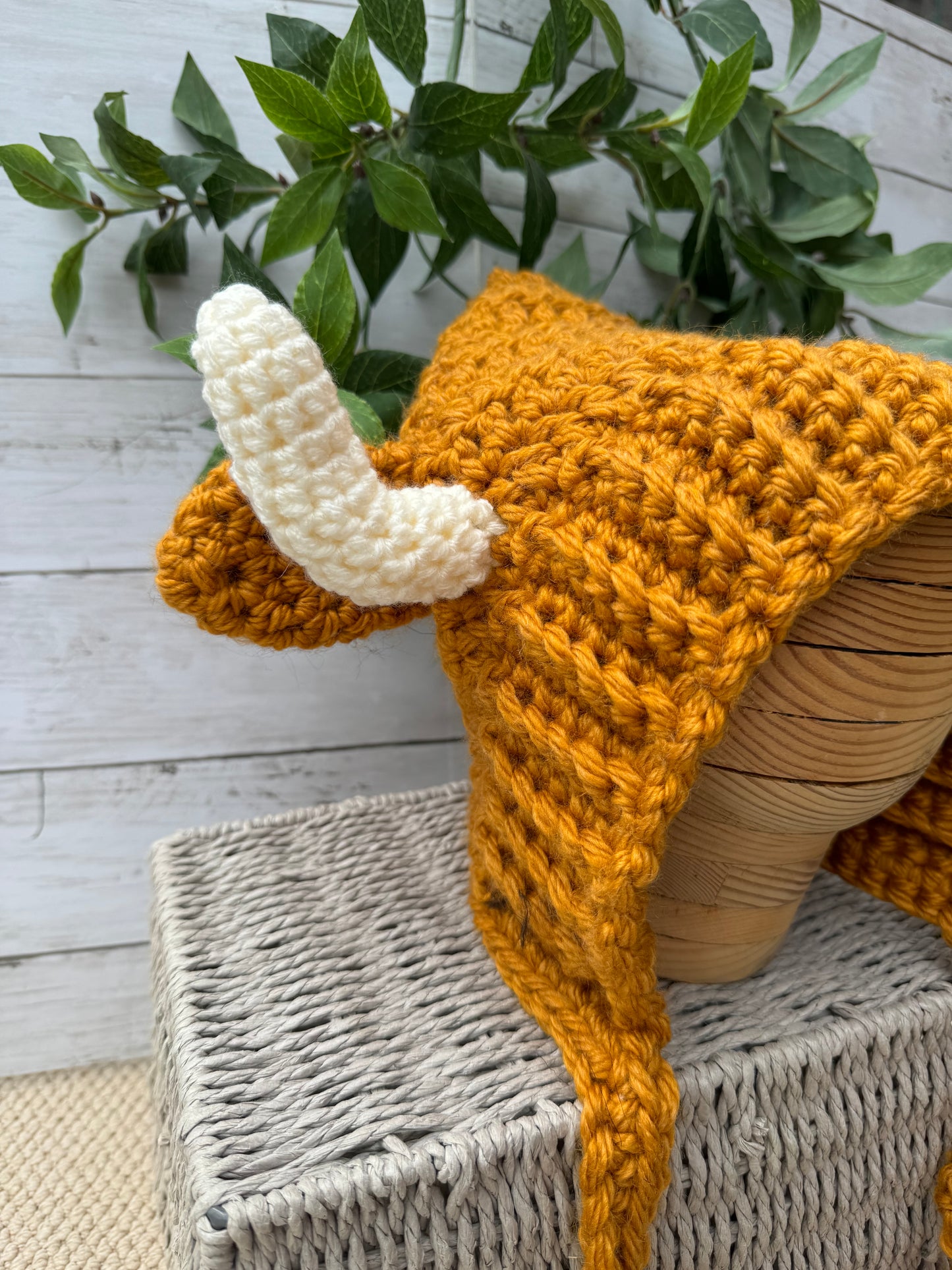 “Sophia” Highland Cow