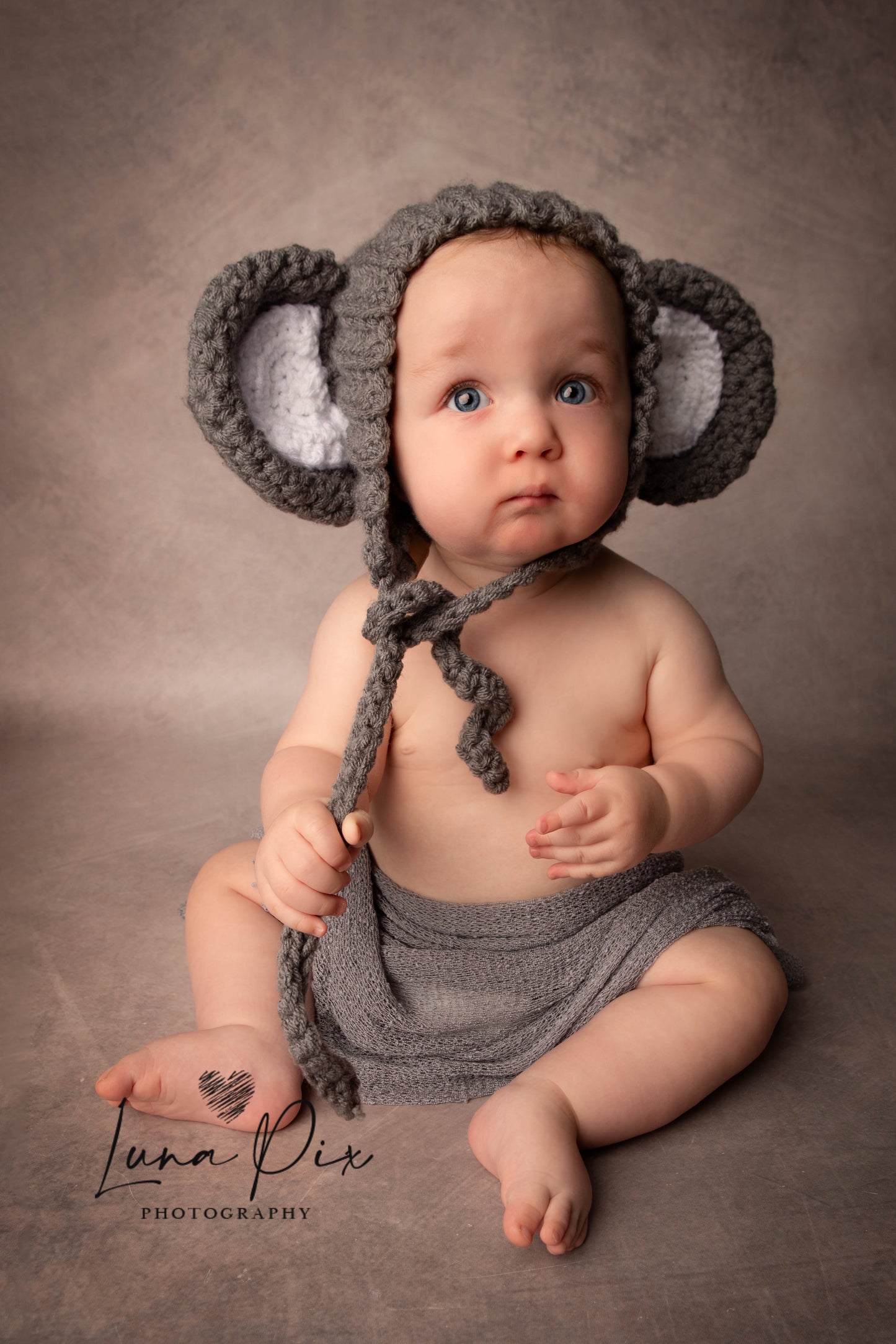 “Phoebe” Elephant