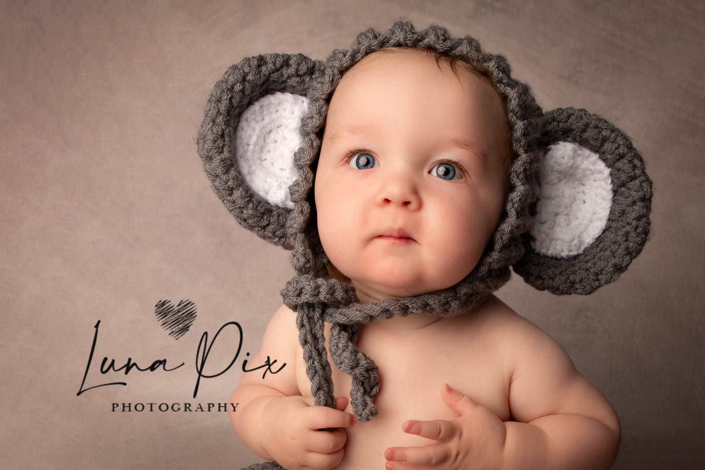 “Phoebe” Elephant