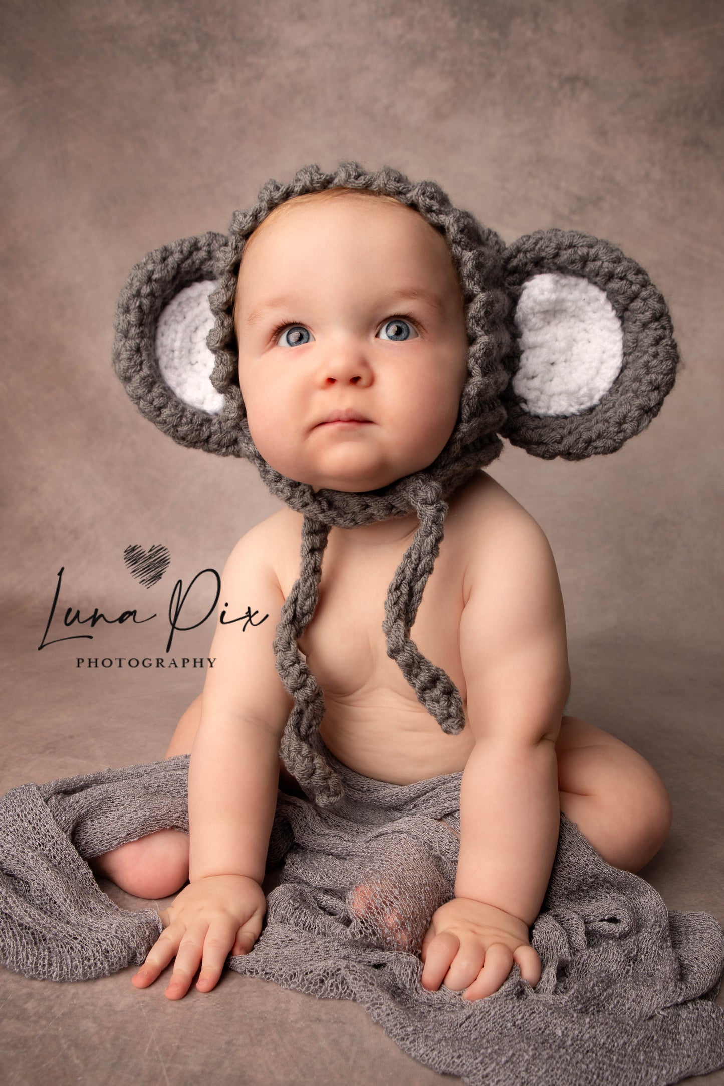 “Phoebe” Elephant