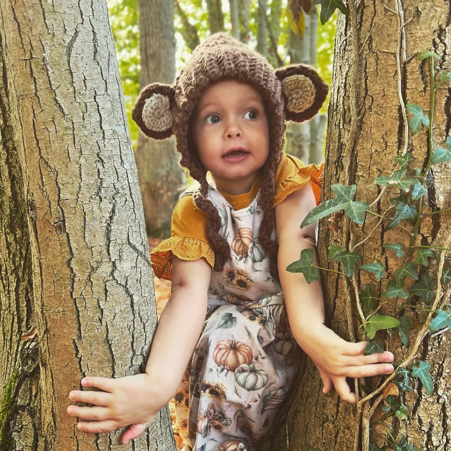 "Theodore" Monkey bonnet