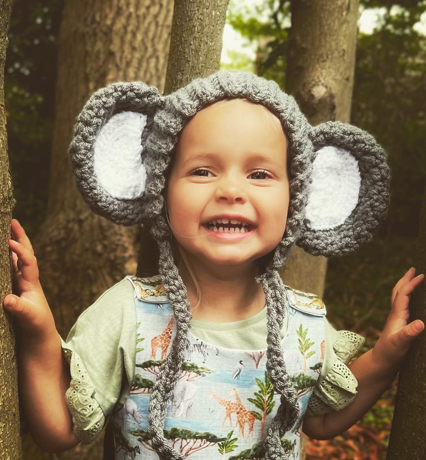 “Phoebe” Elephant