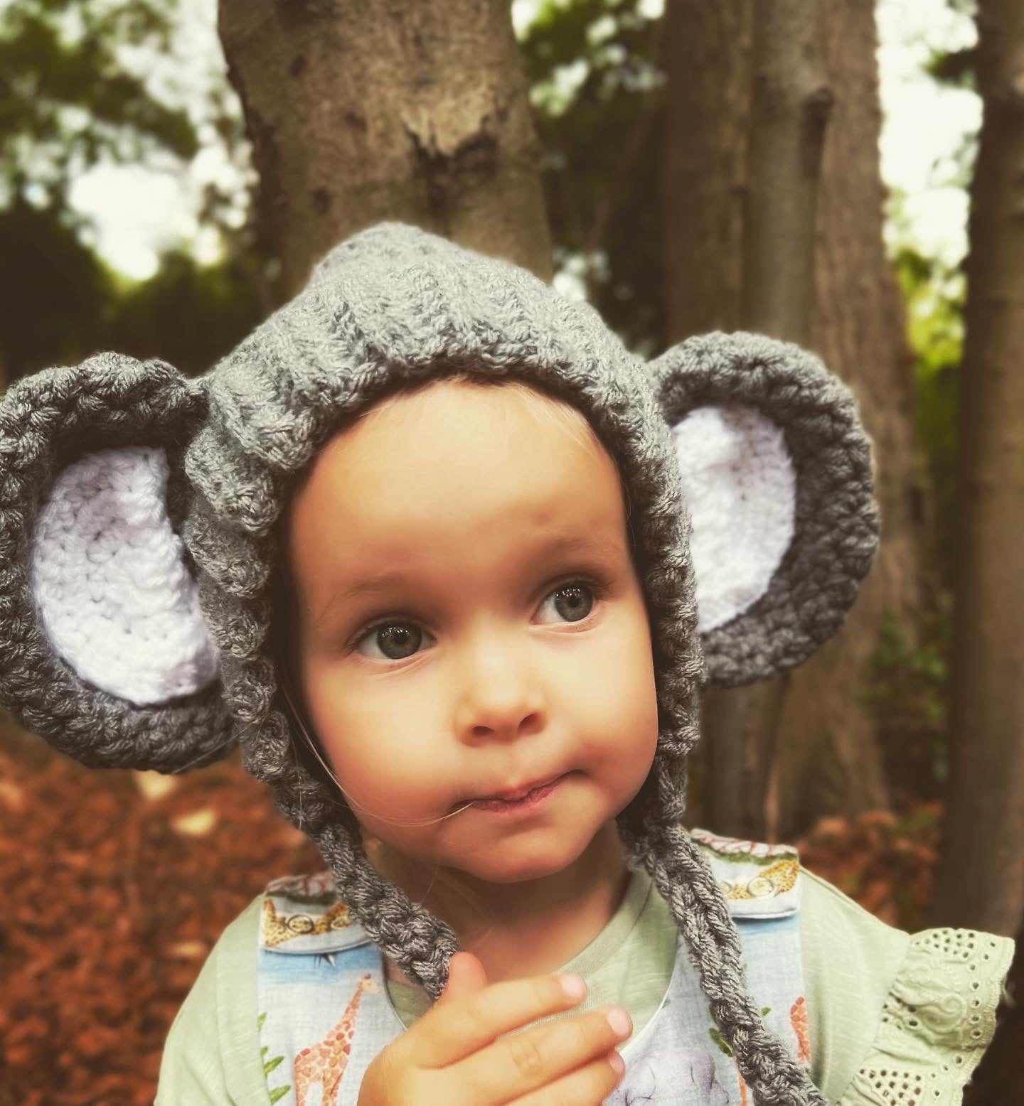 “Phoebe” Elephant