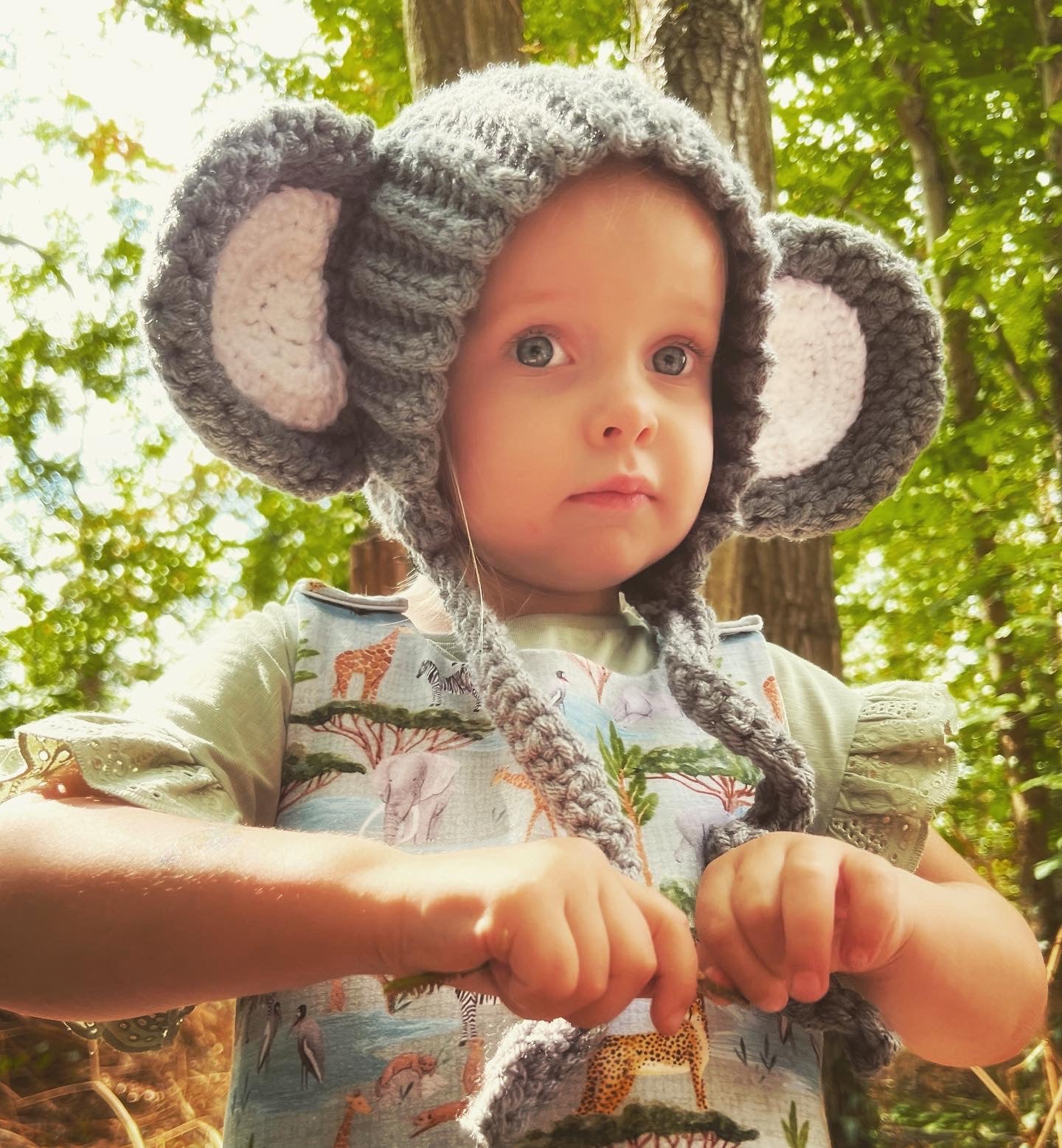 “Phoebe” Elephant