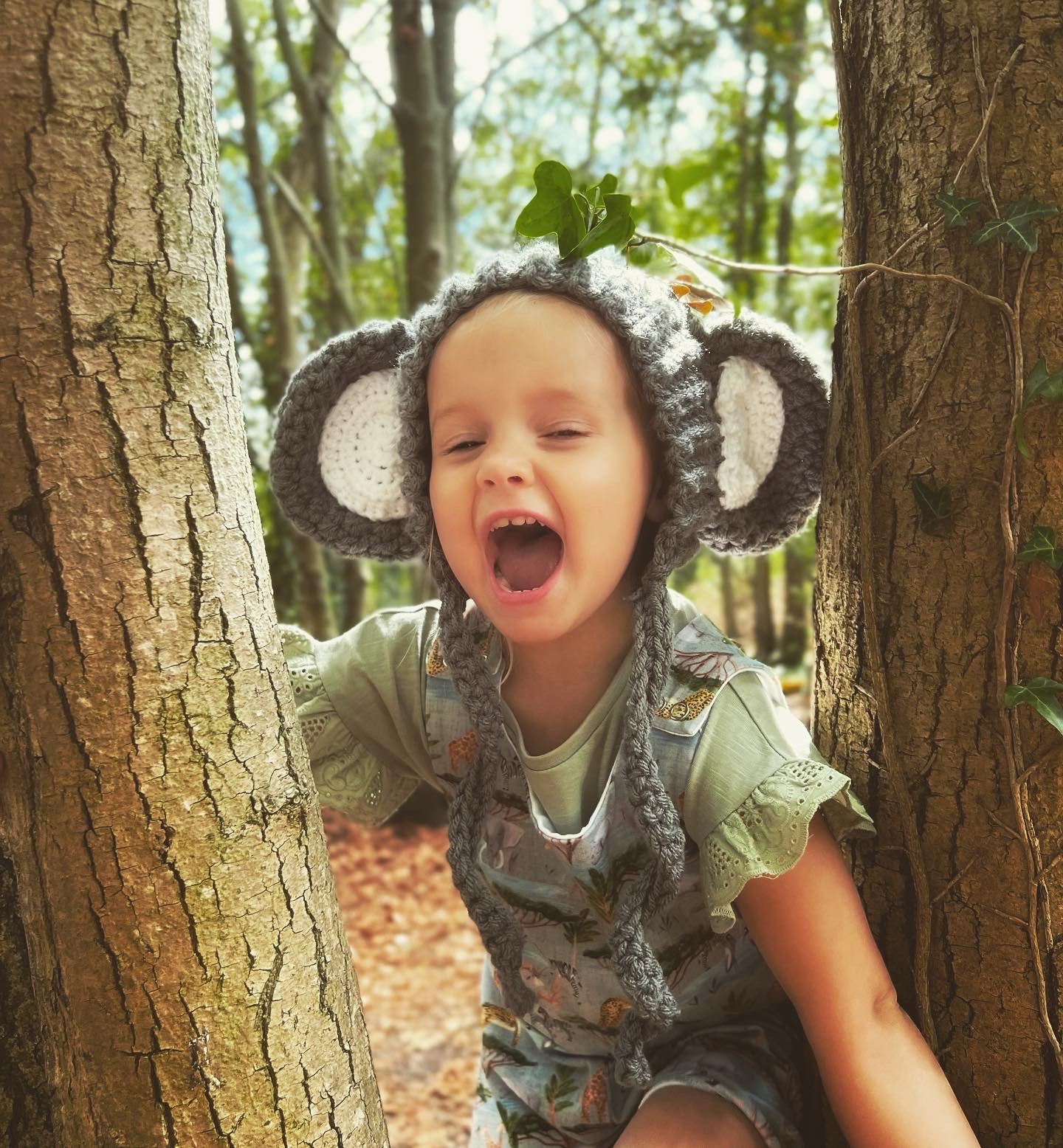 “Phoebe” Elephant