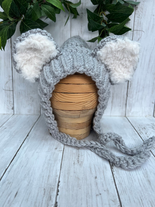 "Grace" Koala