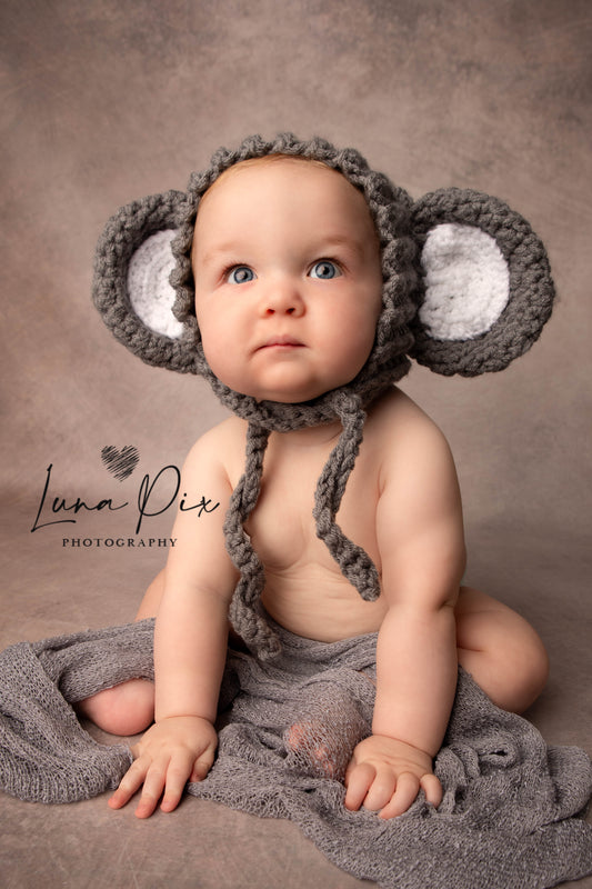 “Phoebe” Elephant