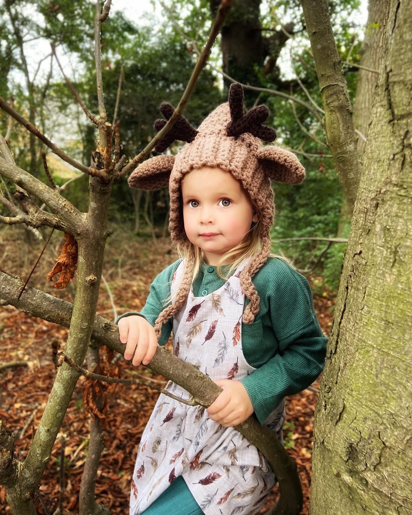 “Charlotte” Reindeer